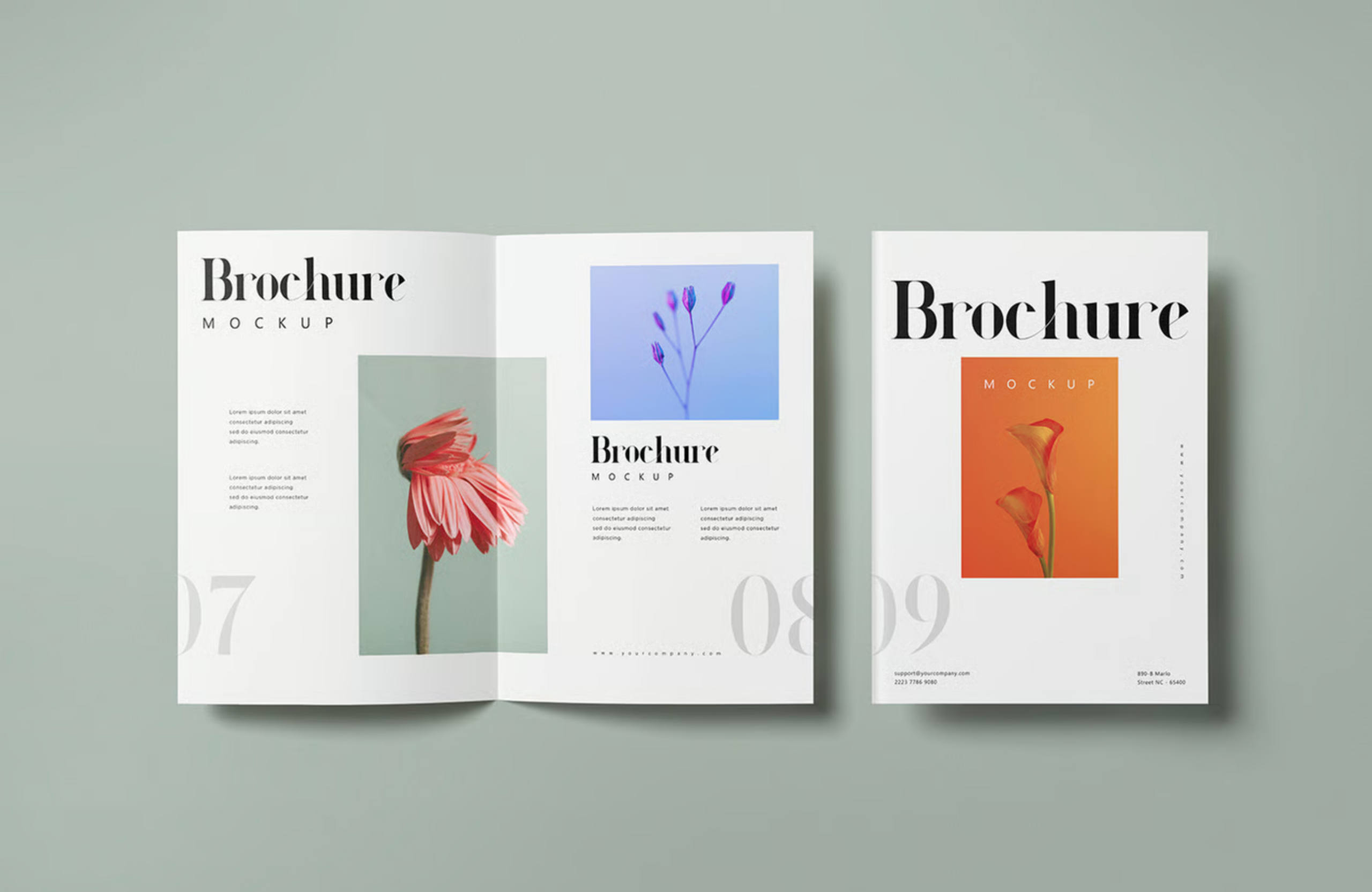 Desain Brosur / Company Profile Cetak yang Profesional & Informatif - Image 4