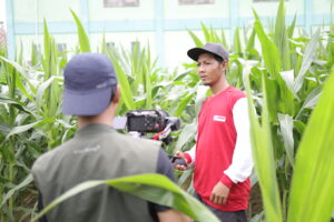 peran video dalam marketing bisnis Malang