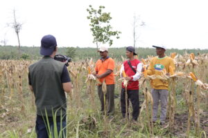 perkembangan industri video production di Jogja